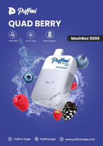 Load image into Gallery viewer, PUFFMI MESH BOX 5000 PUFF
